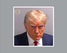 Donald Trump Mug Shot Die Cut Glossy Fridge Magnet picture