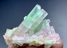 123Carat Bi Colour Tourmaline Crystal Specime From Afghanistan picture