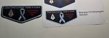 Aracoma 481 Cancer Awareness flap Stomach cancer  Blue/gray border picture