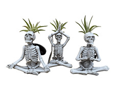 Trader Joes Skeleton Yogi Yoga Halloween Figurine Statue AIR PLANT NOT INCLUDED picture