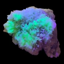3.3 Lb High Fluorescent Calcite from Ojuela Mine, Mexico - 1500g Amazing Quality picture