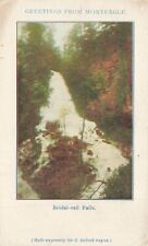 c1905 Greetings From Monteagle Bridal Veil Falls TN Tennessee P200 picture