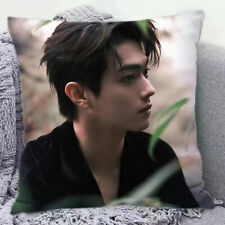 Xu Kai 许凯 Bedroom Pillow Student Cushion Birthday Gifts 40*40cm picture