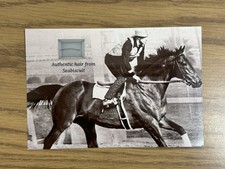 Seabiscuit Hair Strand Lock Relic Historic Horse Mane Kentucky Derby Racehorse picture