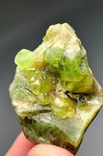 115 Carat Natural Peridot Crystal Specimen From Sapat Mine Pakistan picture