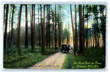 1909 The Road Thro The Pines, Chippewa Falls, Wisconsin WI Posted Postcard picture