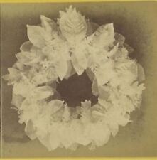 1890s Wreath Skeleton Leaves John P. Soule Stereoview 10-4 picture