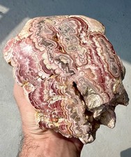 3.4 Pound: Rhodochrosite Banded and Botryoidal Brain Plume Capillitas, Argentina picture
