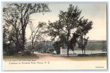 c1905 Entrance to Renwick Park Ithaca New York NY Corner Book Stores Postcard picture