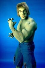 LOU FERRIGNO THE INCREDIBLE HULK 24x36 inch Poster picture
