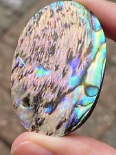 Abalone Shell Cabochon AAA  90 Ct 688 picture