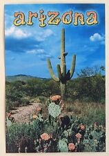  Postcard AZ: Arizona Desert. Cactus picture