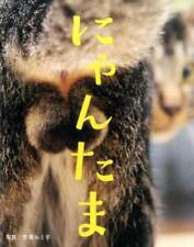 Nyantama Cat Testicles Photo Book JAPAN picture