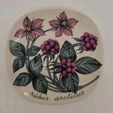 VTG Arabia Finland Rare Esteri Tomula Botanical Plates "Rubus Articus" 4.75 " picture