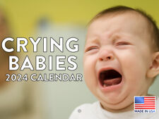 Baby Funny Gag Gift 2024 Wall Calendar picture