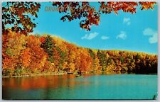 Vtg Drummond Island Michigan MI Lake View Autumn Maples Pine 1950s Postcard picture