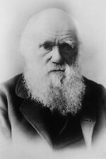Charles Darwin - Naturalist & father of Evolutionary Theory  - 4 x 6 Photo Print picture