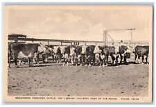 Pecos TX, Registered Hereford Cattle Largest Industry West Of Pecos Postcard picture