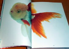 Kingyo - The Graphics of Japanese Goldfish book,japan,aquarium,fish #0389 picture