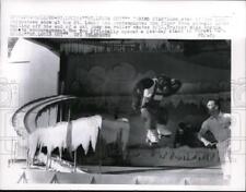 1962 Press Photo Duke, the chimp, star of the 1962 chimpanzee show picture