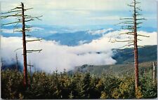 Postcard Clingmans Dome Low Clouds View Great Smokey Mountain National Park    picture