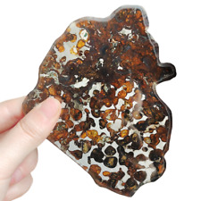 76g SERICHO pallasite Meteorite slice - from Kenya TA139 picture