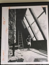 1975 Press Photo Rick Doblin MAPS/MDMA Fame Dream Home Granite Fireplace Library picture