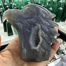 345g Natural Agate Geode Quartz Carved Eagle Head Skull Crystal Gem Decor picture