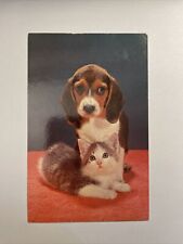 Can’t We Be Pals Cat And Dog Cute Postcard picture