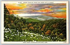 Tennessee TN - Mount Sterling from Cove Creek Gap at Sunset - Vintage Postcard picture