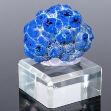 Blue AZURITE Geode crystal with stand 2.01 oz worry chakra stone specimen #8565T picture