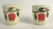 Vintage Kitchen Size Hand-Painted Red Apple Branch Salt & Pepper Shakers picture