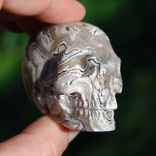 2in Laguna Crazy Lace Agate Carved Crystal Skull, Realistic Gemstone Carving picture