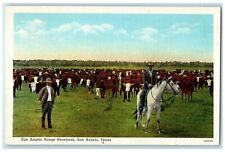 c1940 San Angelo Range Herefords Group Of Cow Man Horse Riding Texas TX Postcard picture