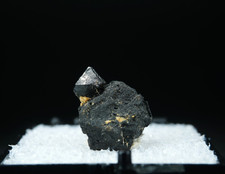 Perovskite on Magnetite / Perovskite Hill, Arkansas / Rare Thumbnail Mineral picture