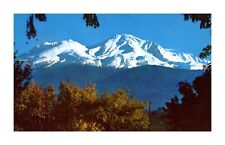 Postcard Mt. Shasta California Majestically Rises 14161 ft. above sea level C-20 picture