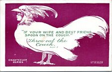1911 Anthropomorphic Chicken Girl S.M. Salke Chantecler Series Postcard AQ picture
