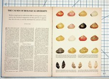 Vintage Science Article Biological Diversity Snails Genetics Bryan Clarke Pages picture