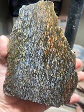 Agatized Utah dino gem bone rough **hxtled  large slab. picture