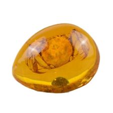 1PC Beautiful Amber Crab Fossil Insects Manual Polishing Drop Shape picture
