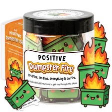 Positive Affirmation Cards for Women Dumpster Fire Jar 60 Emotional Support picture