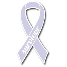 Magnet Me Up Periwinkle Esophageal and Stomach Cancer Survivor Ribbon Car Magnet picture