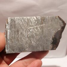 172g  Muonionalusta meteorite part slice  A173 picture