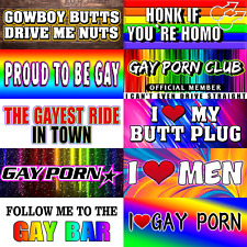 Gay Pride Funny Magnet Bumper Sticker Rainbow Pride Prank Magnetic Sign Vehicle picture