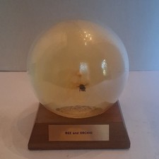 Nature Gems Bee and Orchid Resin Paperweight Display on Wood Base picture