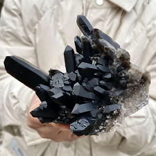 1.18LB Natural Beautiful Black Quartz Crystal Cluster Mineral Specimen picture