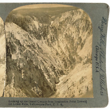 Grand Canyon of the Yellowstone Stereoview c1900 Lower Falls River Park B1837 picture