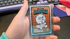 PERFECT PERSIAN CAT 2026 VeeFriends Super Stickers Debut orange SP picture