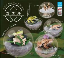 Caprium Collection Frog Figure Set of 5 pcs 2023 Qualia Japan picture