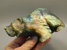 Bear Figurine Labradorite 4.3 inch Animal Stone Carving #O66 picture